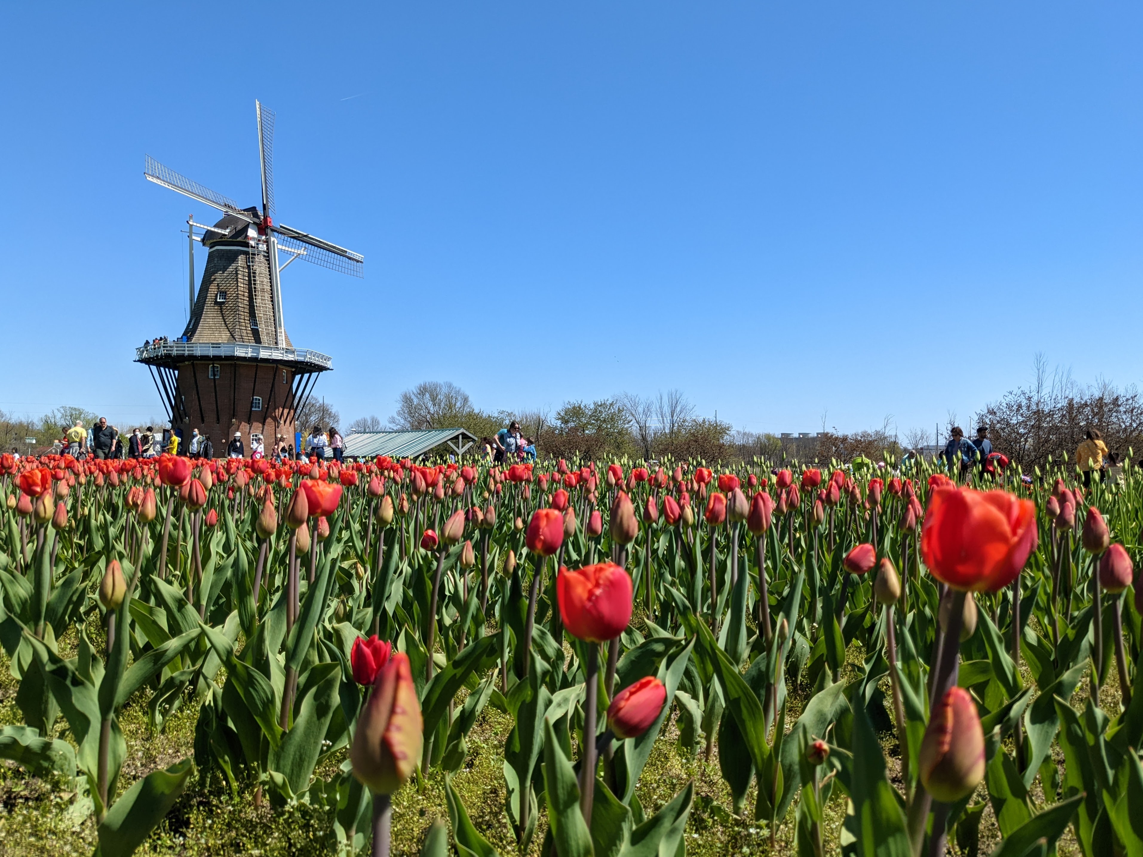 Featured image of post Our Dates